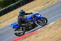 enduro-digital-images;event-digital-images;eventdigitalimages;no-limits-trackdays;peter-wileman-photography;racing-digital-images;snetterton;snetterton-no-limits-trackday;snetterton-photographs;snetterton-trackday-photographs;trackday-digital-images;trackday-photos